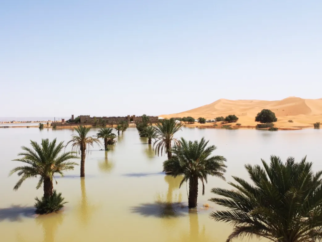 Southeastern Morocco's desert is among the most arid places in the world and rarely experiences rain in late summer. [AP Photo]